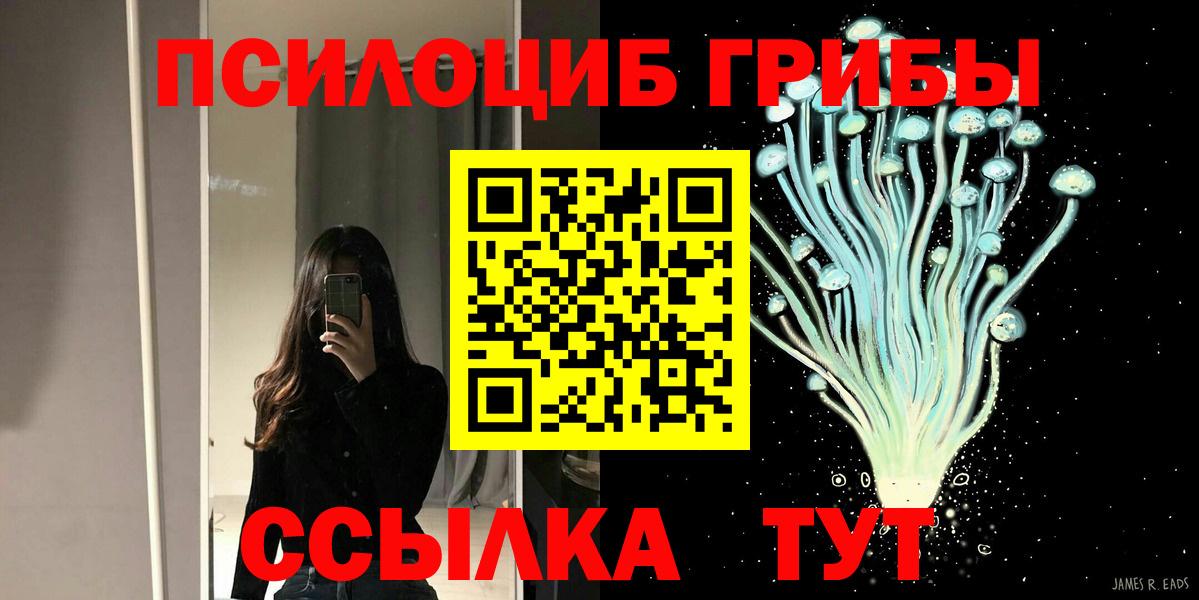 Галлюциногенные грибы Грозный