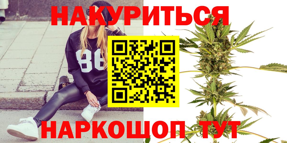 Каннабис сатива Грозный